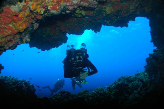 Pequena caverna de corais durante mergulho em Pedras Secas I, em Fernando de Noronha - PE (foto de Mateus Harfush - Ciliares)